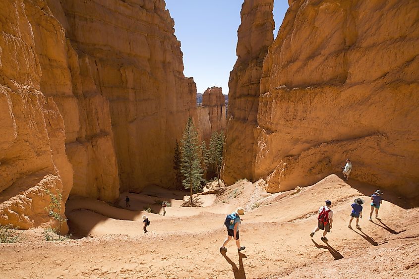  Bryce Canyon National Park