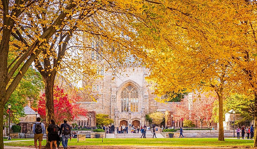 Beautiful fall colors outside Sterling Memorial Library at Yale University.