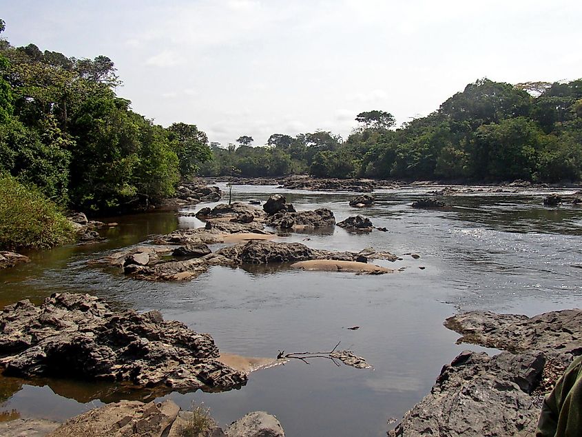 Epulu river flowing through the Okapi Fauna Reserve, Democratic Republic of the Congo