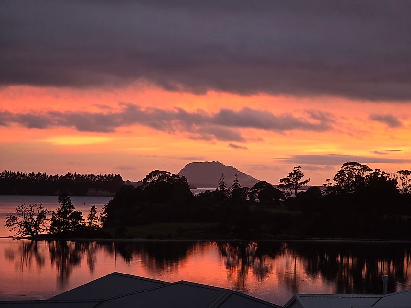 Sunrise in Omokoroa, New Zealand.