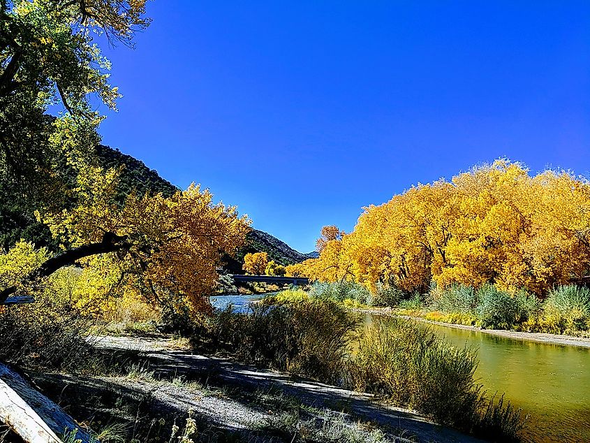 Rio Grande River in the Fall near Embudo, New Mexico.