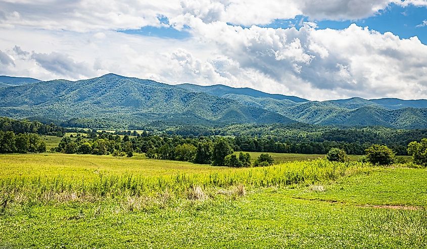 View from the Cades Cove Scenic Loop Trail, a popular destination in the Great Smoky Mountains National Park near Gatlinburg, Tennessee.