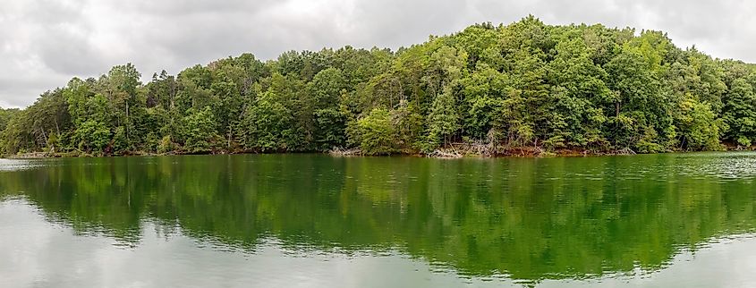 View of trees along the coast of Smith Mountain Lake.