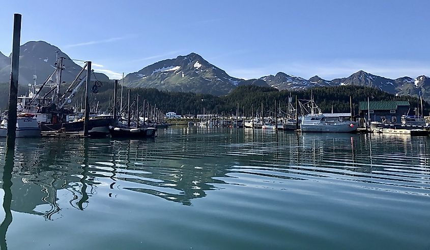 Fishing Boat Harbor in Cordova, Alaska