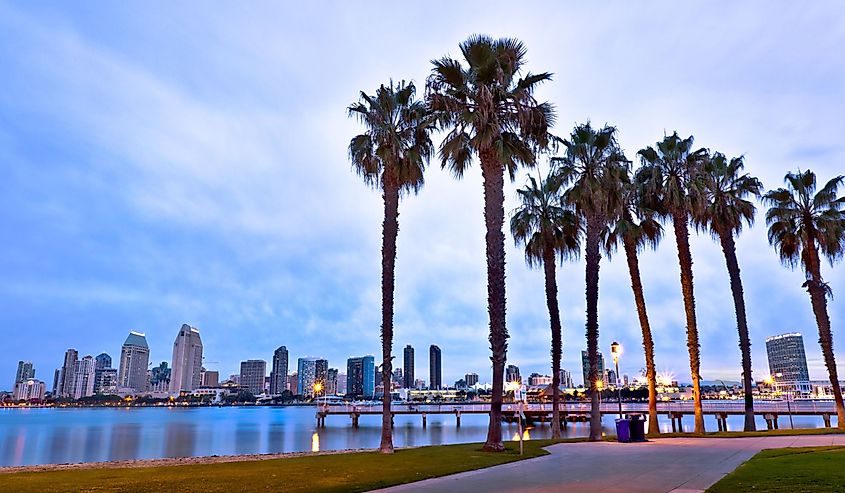 California Palm Trees and City of San Diego, California USA