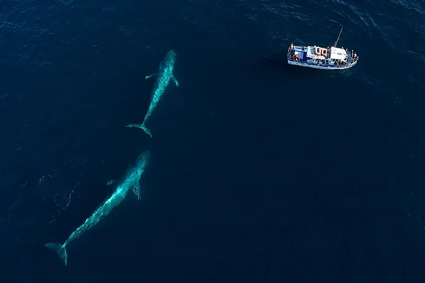 The South Pacific Ocean, the second-cleanest of the world's five oceans by floating plastic count, with roughly 491 billion plastic pieces per the Eriksen 2014 study.