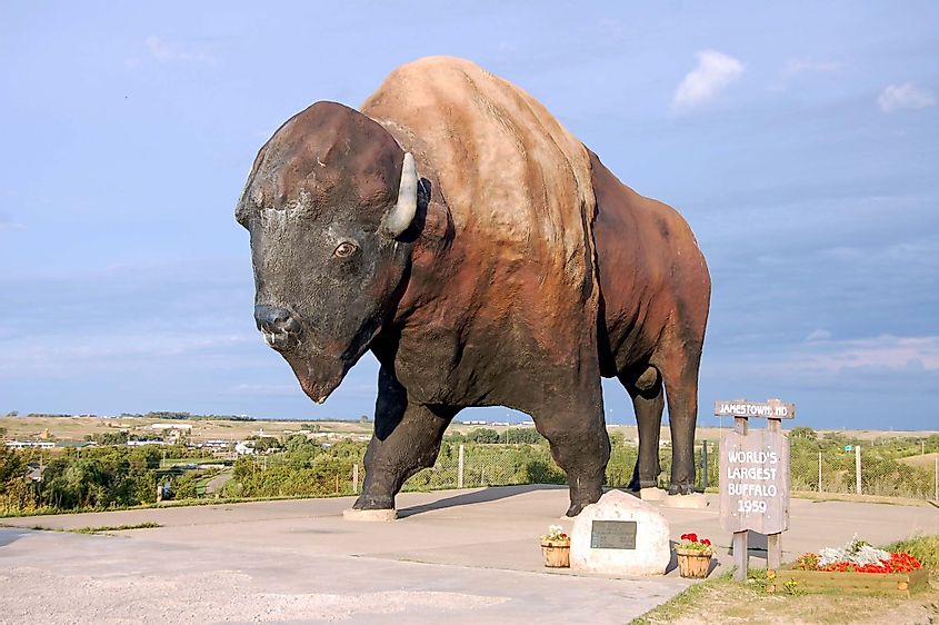 The world's largest buffalo, nicknamed Dakota Thunder is located in Frontier Village in Jamestown, North Dakota