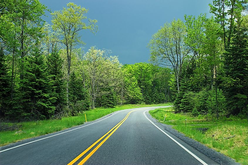 Afternoon drive through Sproul State Forest (Nicholas A. Tonelli from Northeast Pennsylvania, USA, CC0, via Wikimedia Commons)