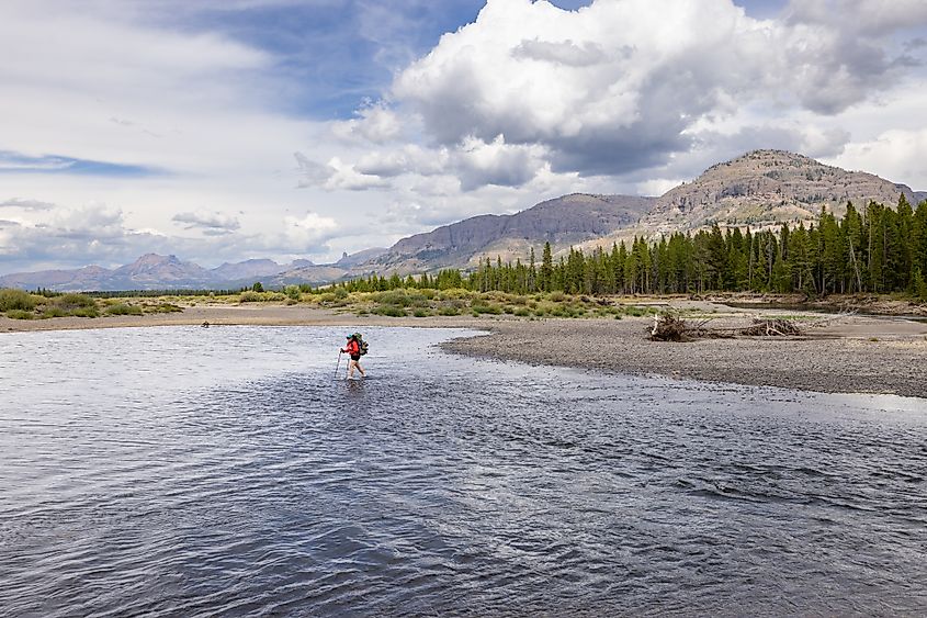 Hiker fords the Yellowstone River below the Thorofare Creek confluence