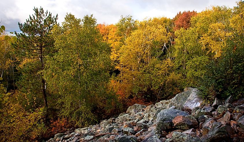 Photograph of an area of rock slide in a state park on Rib Mountain in north-central Wisconsin. Taken during the peak of the autumn season with beautiful vibrant colors.
