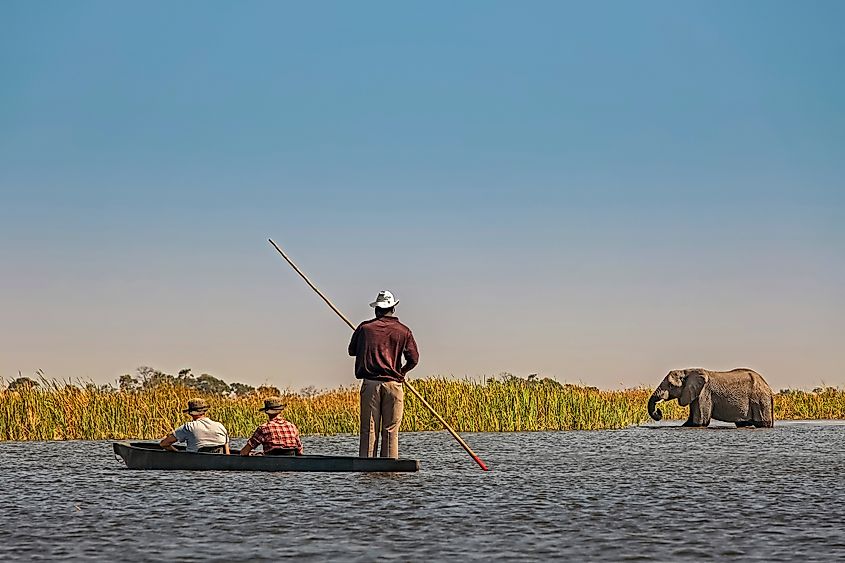 Okavango Delta