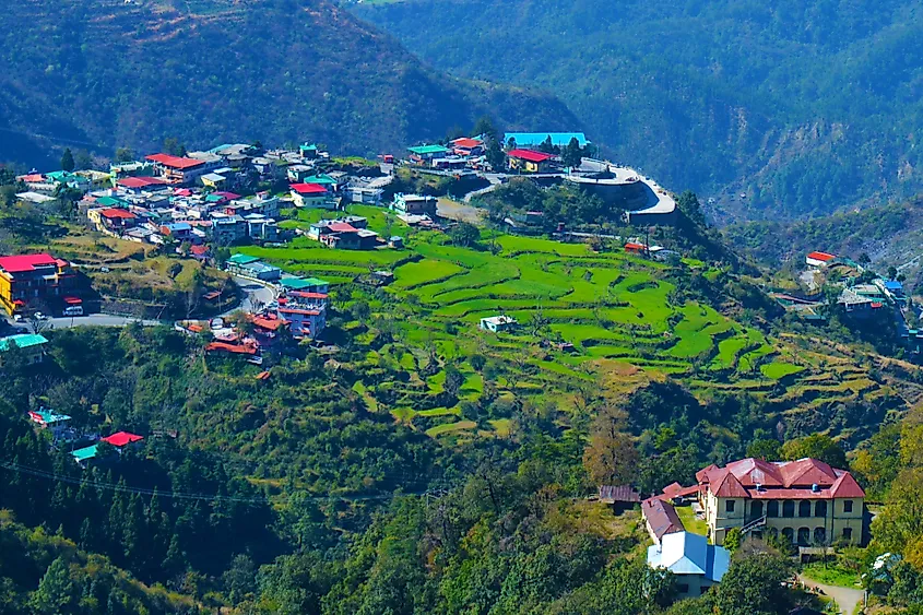 Mussoorie farming