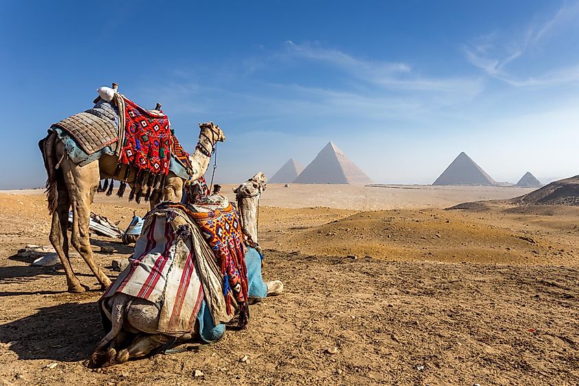 Egypt. Cairo - Giza. General view of pyramids