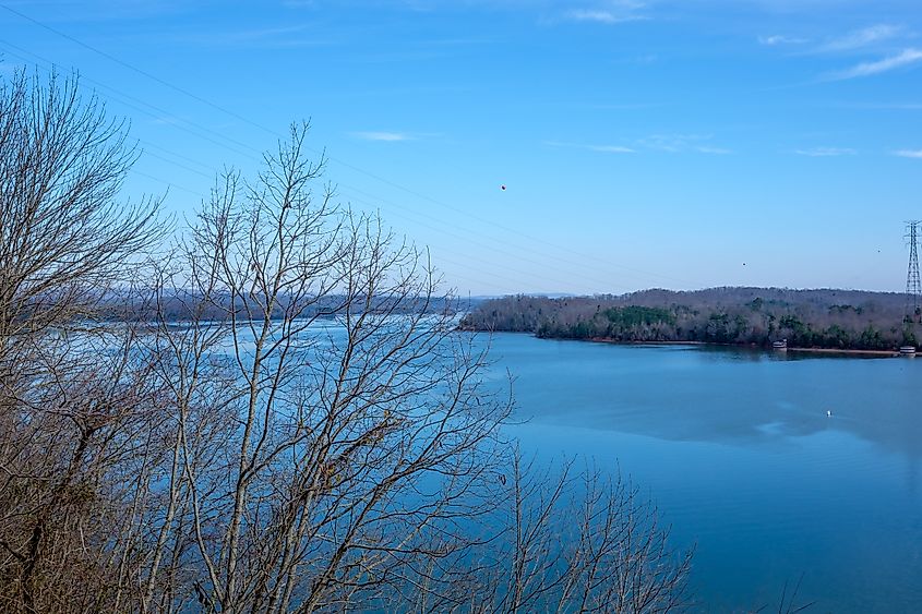Bare trees above Piney River Shoals, Watts Bar Lake near Watts Bar Dam, Meigs County, Tennessee, USA.
