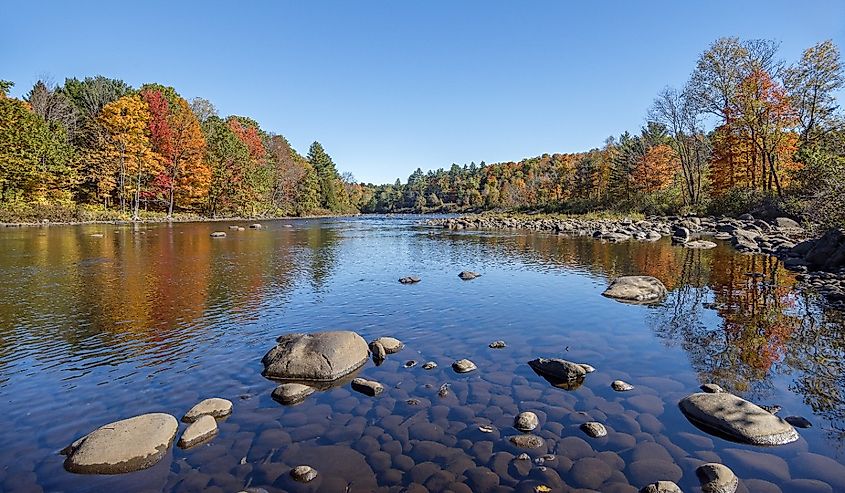 Fall foliage along the upper Hudson River near North Creek in the New York Adirondack Mountain Park.