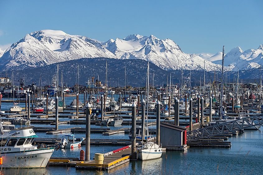 Harbor at Homer, Alaska.