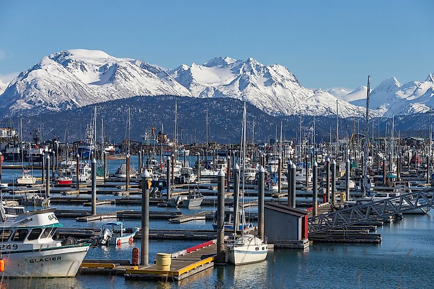 The harbor at Homer, Alaska.