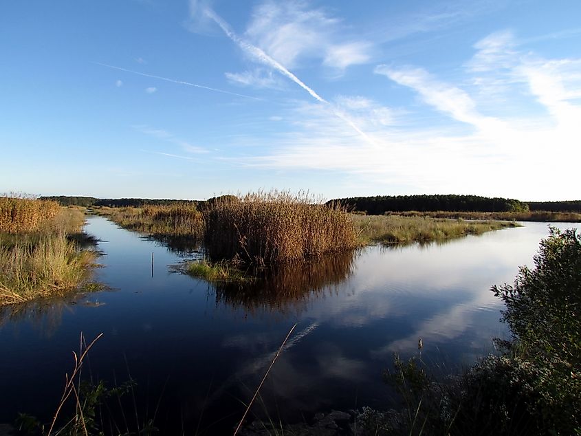 Riparian landscape at Donnelley WIldlife Management Area. 