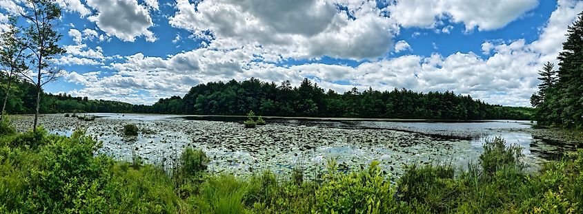 Greeley Lake in Greeley, Pennsylvania.