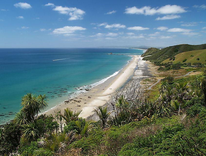 Mangawhai Heads Beach, New Zealand