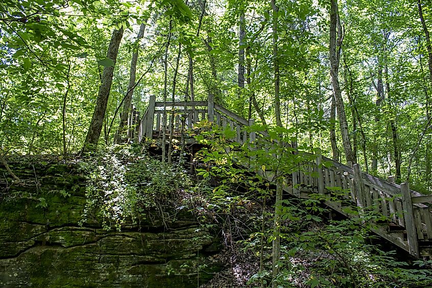 Rock Bridge Memorial State Park in Columbia, Missouri