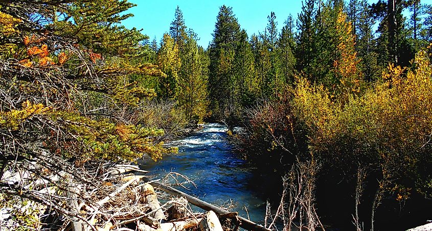 Whychus Creek near Sisters, Oregon, in fall