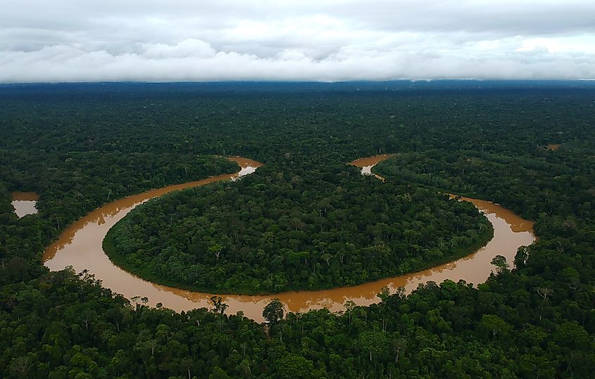 Vale Do Javari