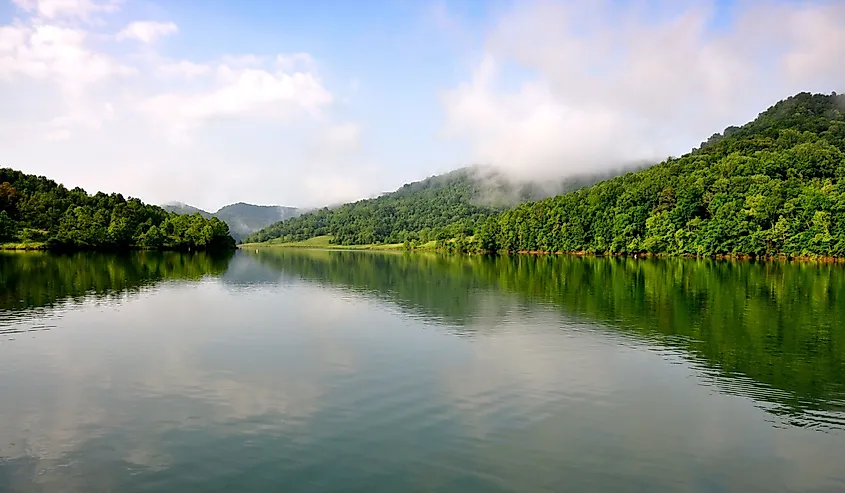 Misty sky and lush evergreens at Burnsville Lake, Braxton County, West Virginia