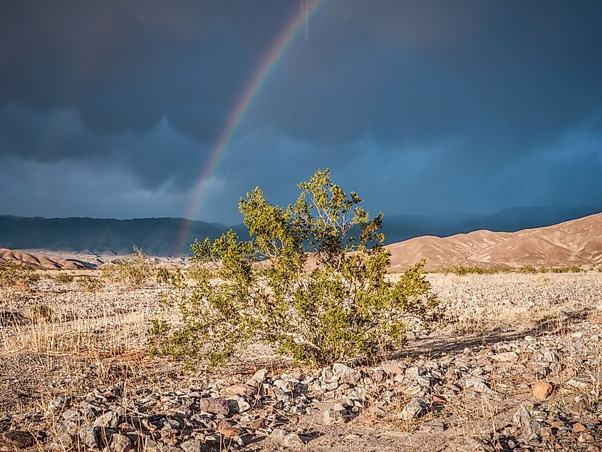 Desert scenes from the Amargosa River Valley in eastern California