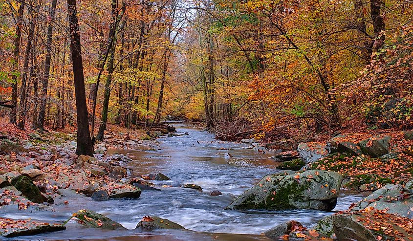 Bynum Run Creek in Bel Air, Maryland.