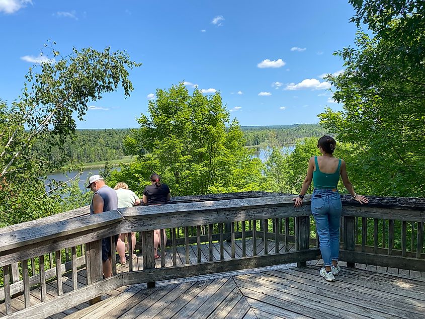 A small group of people stand atop a wooden observation deck, high above a forest and river.