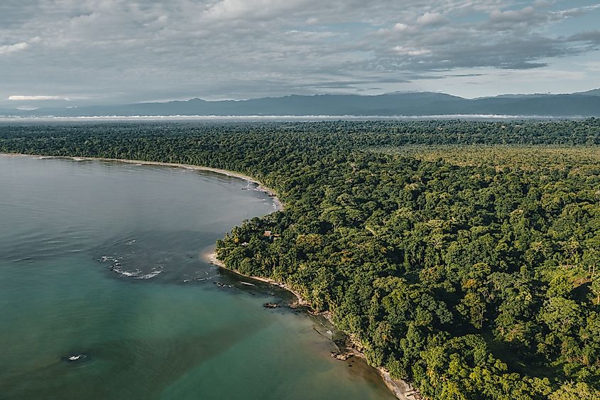 A top view shot of a beautiful island in Chequamegon-Nicolet National Forest.