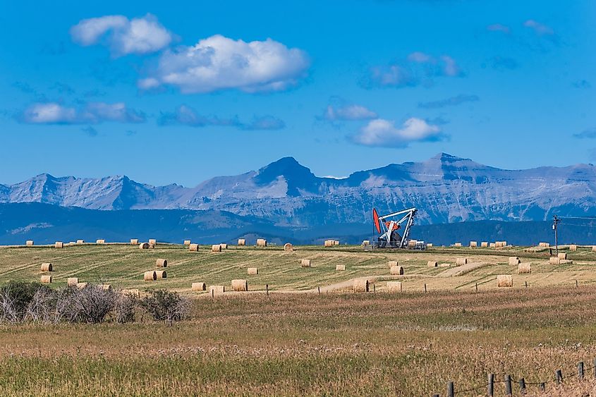 Agriculture and Oil pumpjack working oil reserves in the foothills of the rocky mountains, Alberta Canada