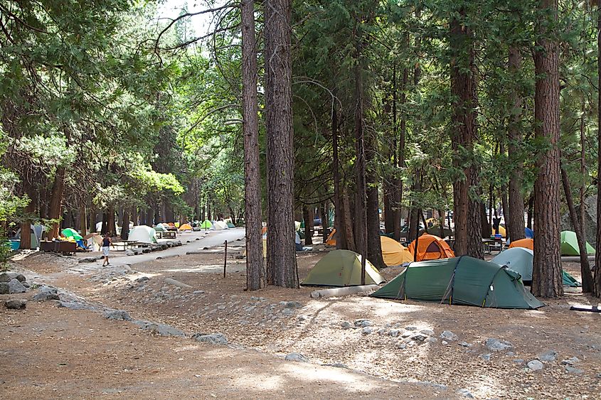 Tents in Camp 4 near Yosemite Falls.