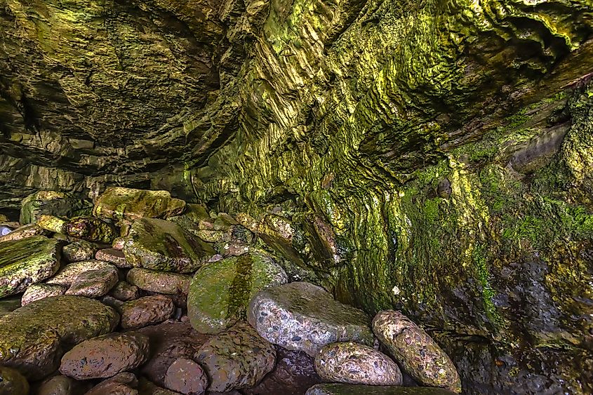 Inside a moist cave in La Jolla California.