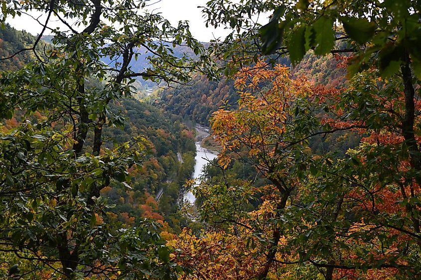 Fall colors at the Grand Canyon, Pennsylvania.