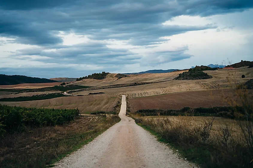 A long country gravel road stretches off into the distance farmlands. 