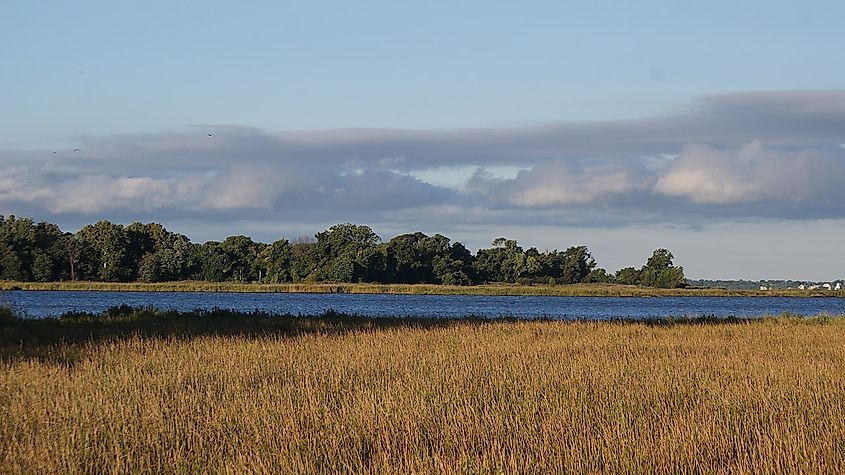 Looking out over marshlands at Eastern Neck National Wildlife Refuge, Maryland.