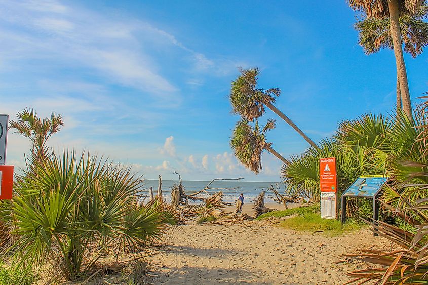 A beautiful beach in Edisto Island, South Carolina.