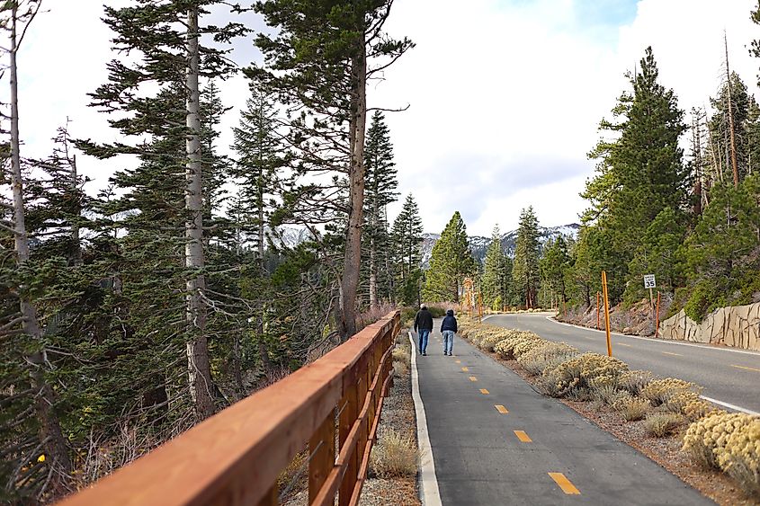 Couple Walking on a Scenic Path in Mammoth Lakes California