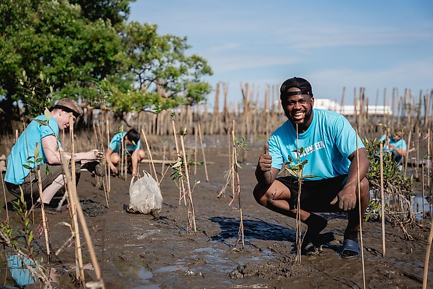 volunteers participate in an environmental conservation initiative by planting trees in an effort to rescue the earth