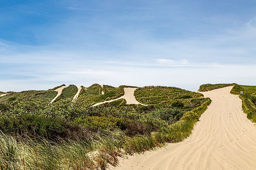 Sand dunes at the Oregon Dunes National Recreation Area.