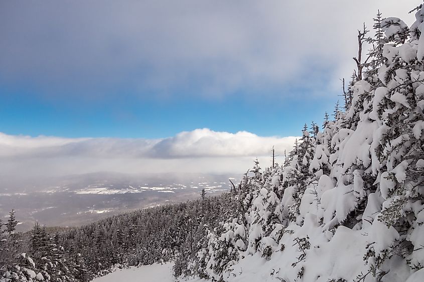 View of snow covered landscape from the top of Mad River Glen Ski Cooperative with pine trees on mountain with blue sky.