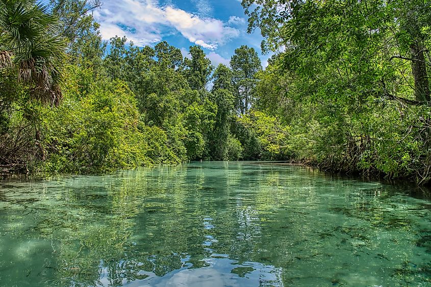 Weeki Wachee in Florida is known for its crystal-clear spring, the Weeki Wachee River