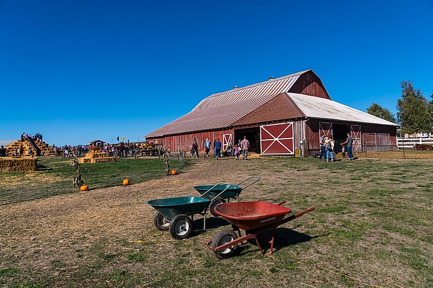 A farm in the town of Monmouth in Oregon.