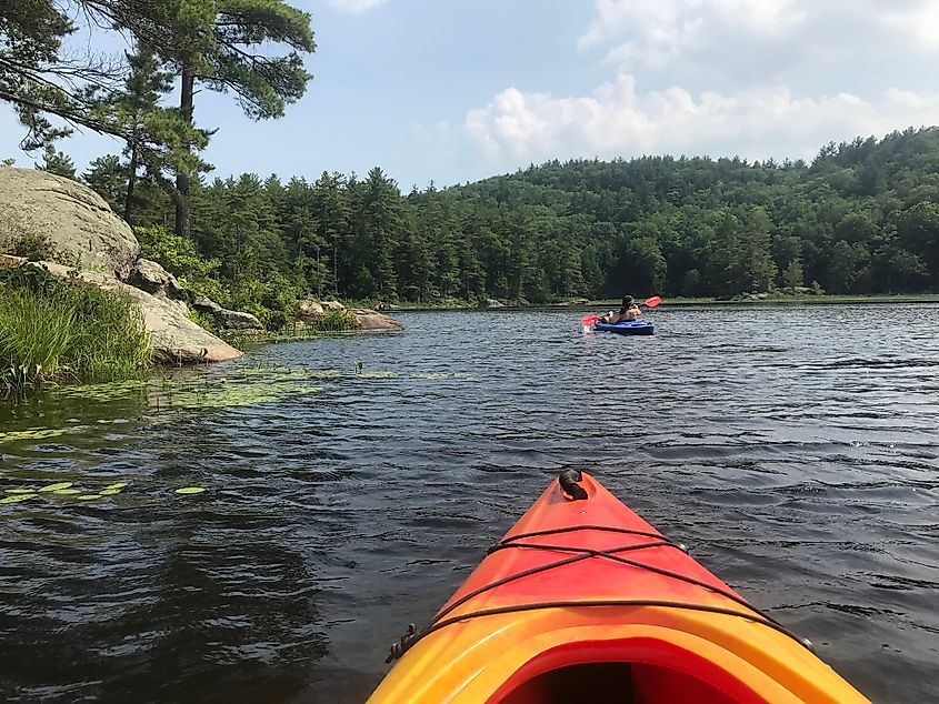 Pawtuckaway State Park, New Hampshire.