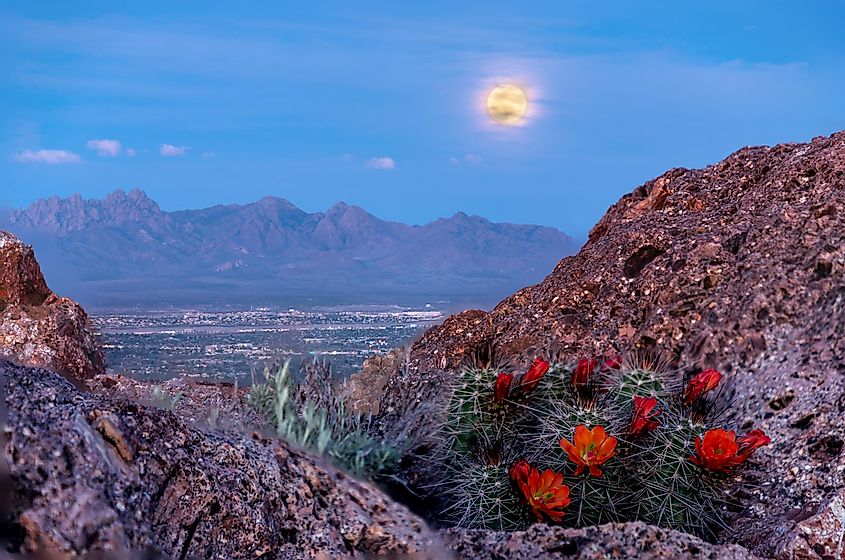 supermoon over las cruces from picacho peak