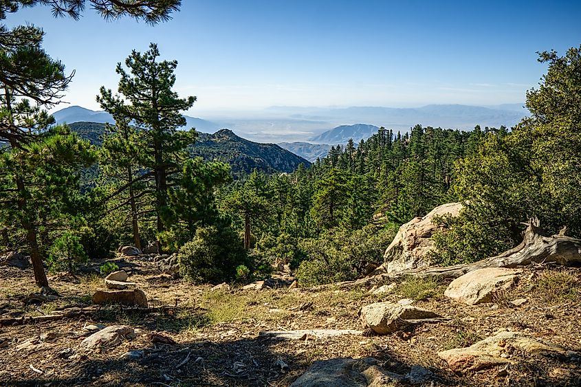 Santa Rosa Mountains in California. Credit: Greg Lara/ Shutterstock.com