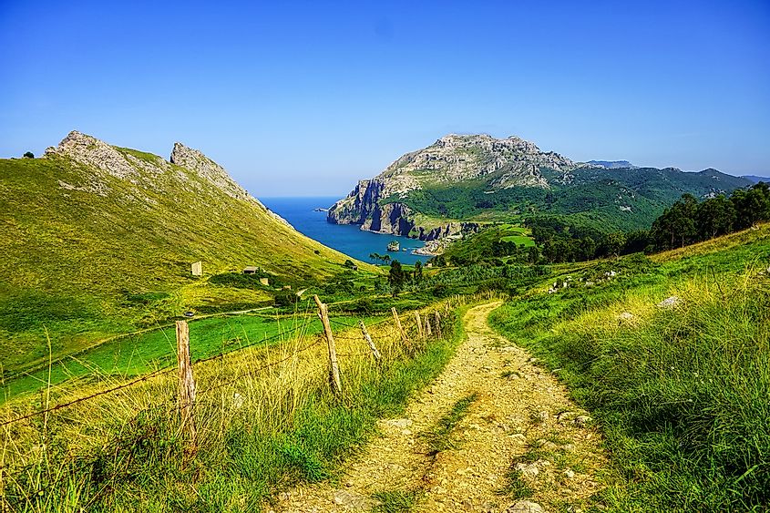 A footpath leads through the grassy seaside hills of Northern Spain. 
