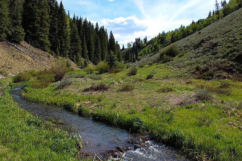 Cimarron River, Kenton, Oklahoma